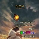 샬롬 Daum카페