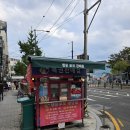 행운의 로또 | 남포동 행운로또 구매 후기: 로또는 생방송이지만, 무더기 당첨의 의문은 여전하다!