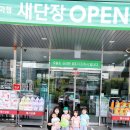 싱싱알뜰마트 이미지