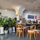 피스하우징(평화주택) | [삼척 카페 추천] 평화주택커피 방문기｜아늑한 분위기와 핸드드립 커피의 매력