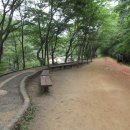 장동산림욕장 이미지