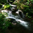 계곡의 아침 이미지