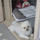 이뻐지는산책 이미지