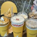 팔조령목장 | 청도 로카커피(LOCA) (대구분들은 헐티재고개쪽 아닌 팔조령터널쪽으로 꼭, 고라니조심)