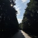 수평목장 이미지