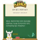 스타포인트 안경원 이미지