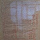 (자)정풍 이미지