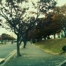 경상대학교가좌캠퍼스