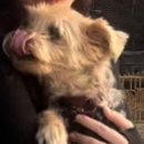 닥터표 동물병원 이미지