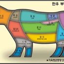 알고 먹으면 더 맛있는 소고기 부위*^^* 이미지