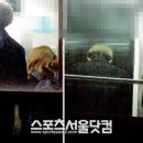 토니의 카페 이미지