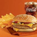 하루치즈 이미지