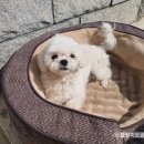 오공농장 이미지