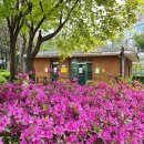 시민근린공원 화장실 이미지