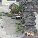 가파보건진료소 이미지