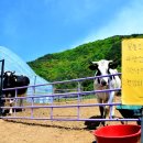 신월리달뜨는마을 이미지