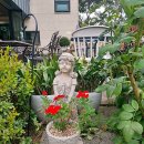 파인트리하우스 이미지