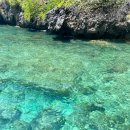 스피드 | 푸켓 시밀란섬 스노쿨링 투어 후기, 카타마란 vs 스피드보트 비교 추천