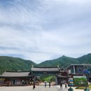 나무그늘한의원 | 산청군 여행, 한의학의 성지,한방을 테마로 한 관광지, &#34;동의보감촌&#34;