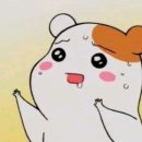 정담동태마을 이미지