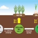 팜한농비료 이미지