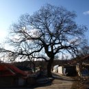 용성3리 이미지