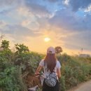 정우성목장 이미지