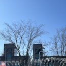이마트24 R강릉월화거리점 이미지