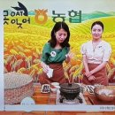 옥구농협 이미지