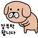 IP MOTORS(아이피모터스) 이미지