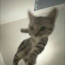 윤하 | 20260123 윤하 소극장 콘서트 후기