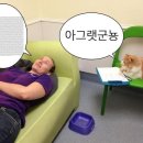 더글루(The Glue) 이미지
