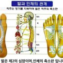 건강 셀프 발 마사지 이미지