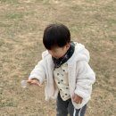 만사목장 | 안성팜랜드 동물보려고 가면 비추