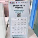 강릉임해자연휴양림 | 강릉 여행 숙소 추천 바다뷰 강릉임해자연휴양림 후기