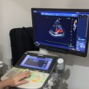 김현태김동민 동물의료센터 이미지