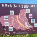 광산구-127 | [기장 핑크뮬리] 광산마을 핑크뮬리🌸올해 마지막 가을 감성🌾