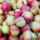 유구농장 이미지