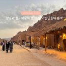 아름다운여행 | 사우디 알울라(Al-Ula) 여행 후기, 밤이 아름다운 사막 유적 도시, 오아시스 숲이 매력 포인트