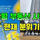 클래시아더퍼스트534호