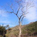 진주 응석사 대웅전 이미지