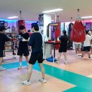 복싱피스트 이미지