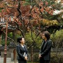 배용준 카카오 검색결과