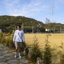 대부주유소 이미지