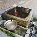 수목원 생활온천 이미지