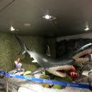 아이맥스안경 이미지