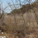 군산지원