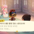 플라라 이미지