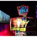 클럽 코코 관광나이트 이미지