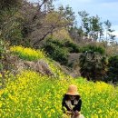 색달동-23 이미지